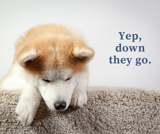 Your Path Finder-property investment-3 (1)