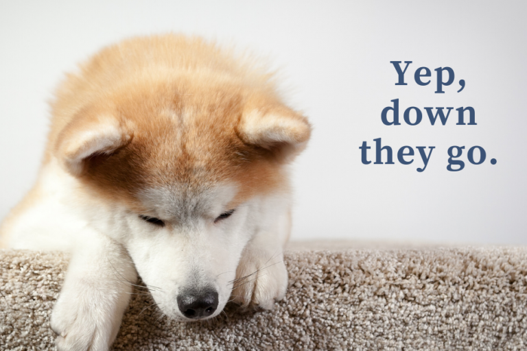 Your Path Finder-property investment-3 (1)