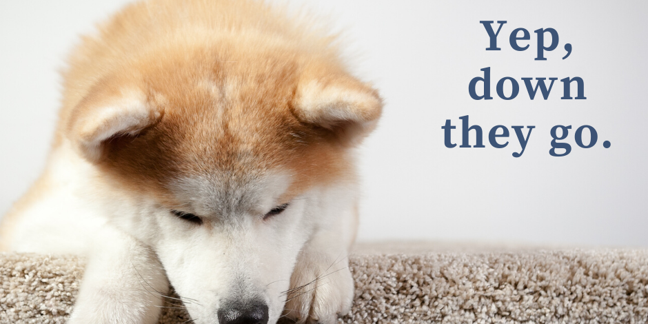 Your Path Finder-property investment-3 (1)